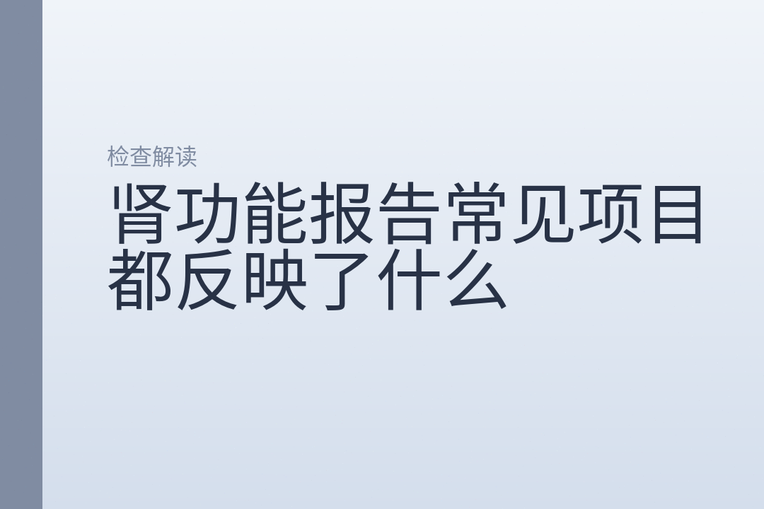肾功能报告常见项目都反映了什么