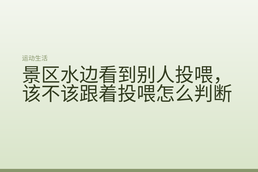 景区水边看到别人投喂,该不该跟着投喂怎么判断