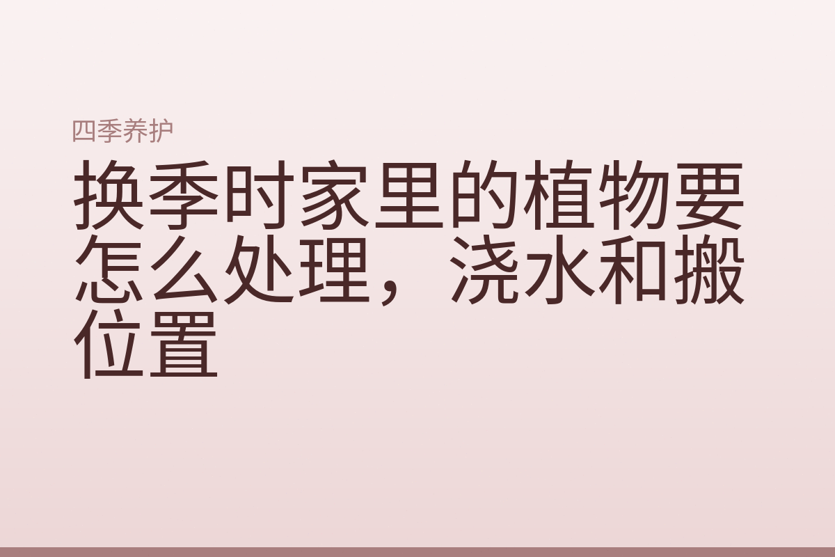 换季时家里的植物要怎么处理,浇水和搬位置