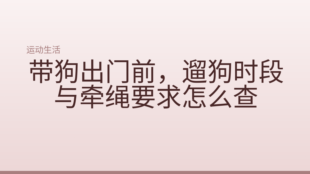 带狗出门前,遛狗时段与牵绳要求怎么查